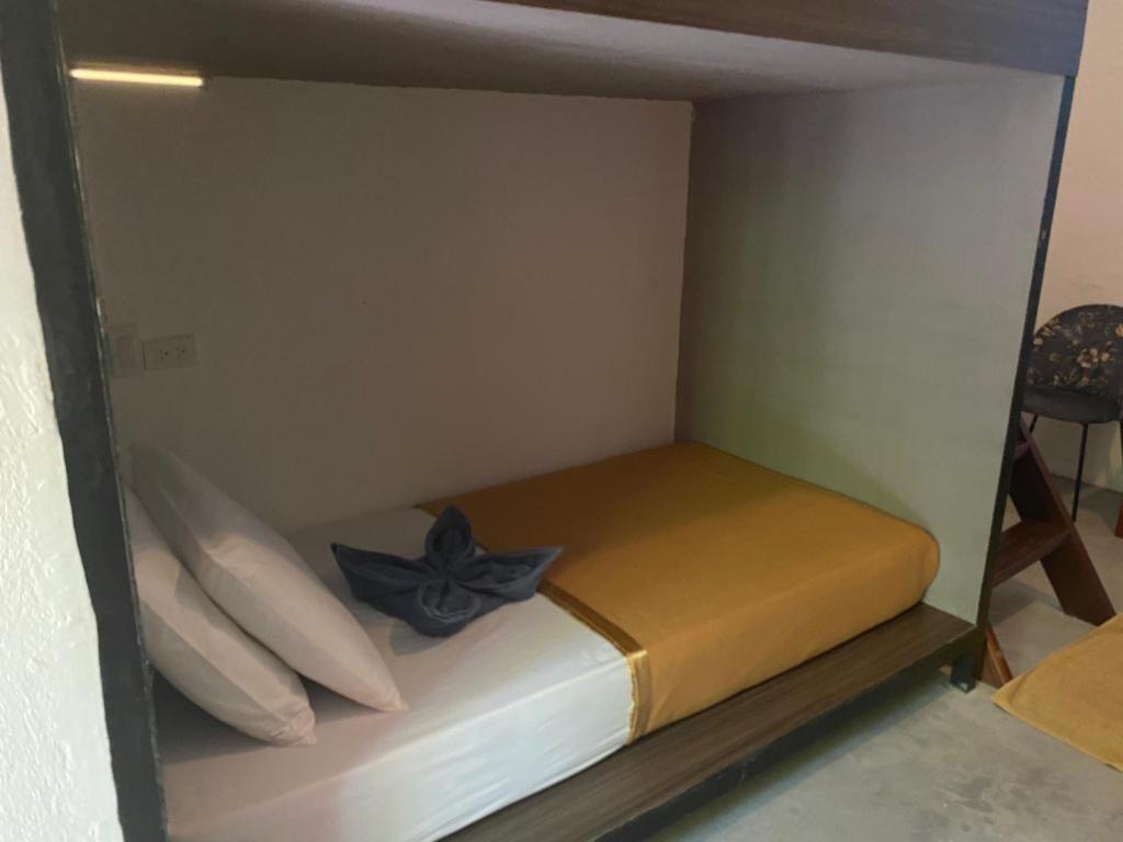 Lexias Hostel And Workspace - Siargao Catangnan ภายนอก รูปภาพ